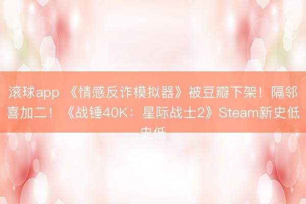 滚球app 《情感反诈模拟器》被豆瓣下架！隔邻喜加二！《战锤40K：星际战士2》Steam新史低