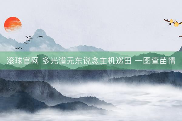 滚球官网 多光谱无东说念主机巡田 一图查苗情