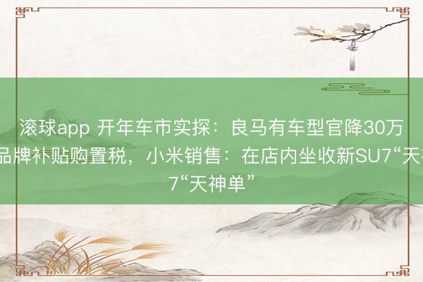 滚球app 开年车市实探：良马有车型官降30万，多品牌补贴购置税，小米销售：在店内坐收新SU7“天神单”