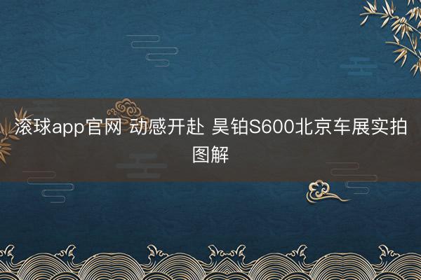 滚球app官网 动感开赴 昊铂S600北京车展实拍图解