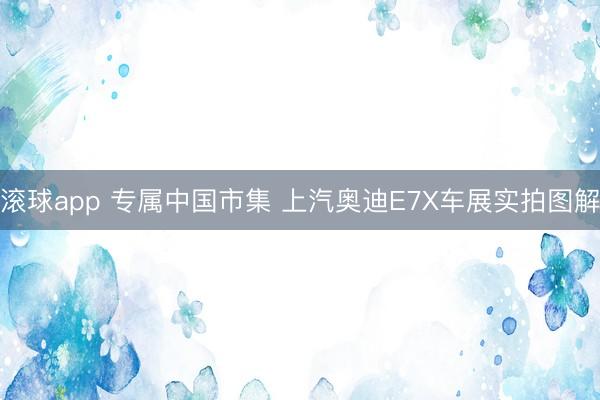 滚球app 专属中国市集 上汽奥迪E7X车展实拍图解